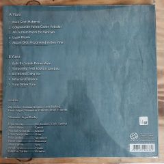 RADYO ŞARKILARI 2 LP PLAK