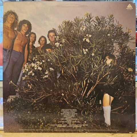 Mr. Big – Photographic Smile LP PLAK