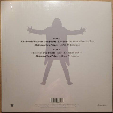David Gilmour With Romany Gilmour – Between Two Points LP PLAK