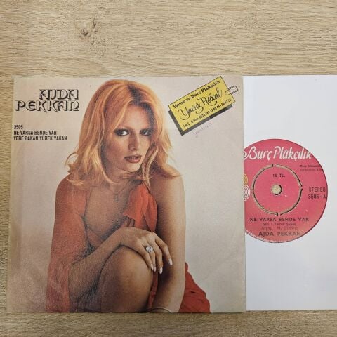 Ajda Pekkan – Ne Varsa Bende Var / Yere Bakan Yürek Yakan 45LİK  PLAK