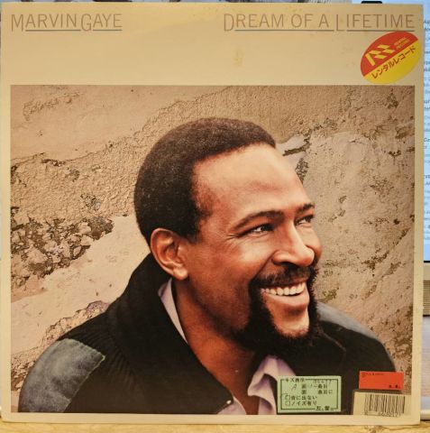 Marvin Gaye – Dream Of A Lifetime LP PLAK