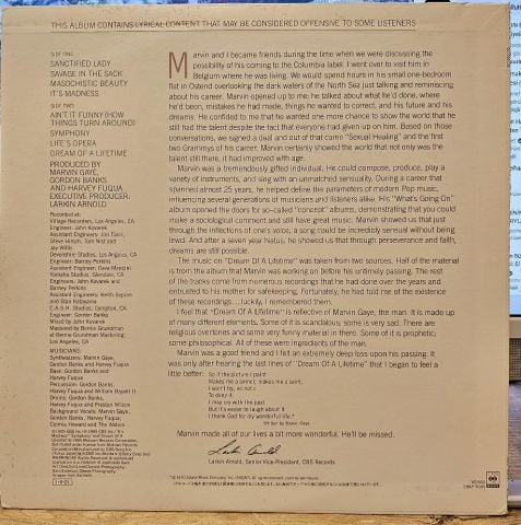 Marvin Gaye – Dream Of A Lifetime LP PLAK