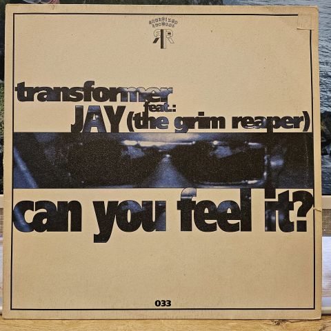 Transformer Feat. Jay (The Grim Reaper) – Can You Feel It? LP PLAK