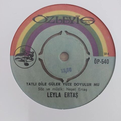 LEYLA ERTAŞ - TATLI DİLE GÜLER YÜZE DOYULURMU 45LİK PLAK