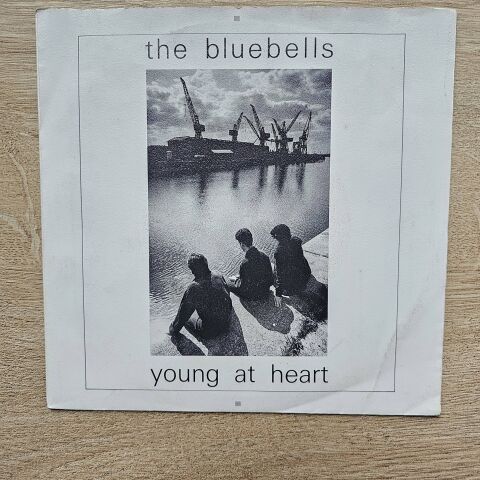 The Bluebells – Young At Heart 45LİK PLAK