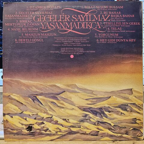 Ali Kocatepe – Geceler Sayılmaz Yaşanmadıkça LP PLAK