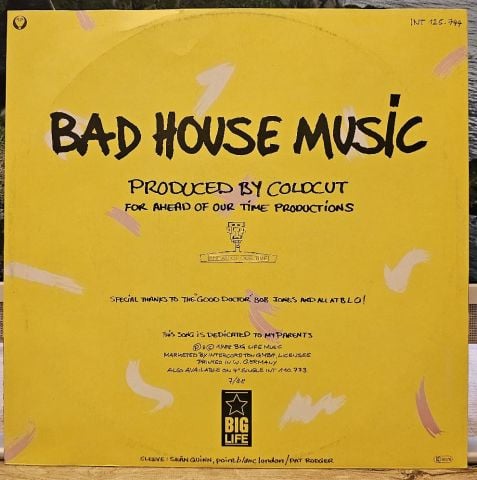 Yazz And The Plastic Population – The Only Way Is Up LP PLAK