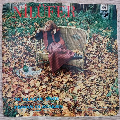 NİLÜFER - PİŞMAN OLACAKSIN 45LİK PLAK