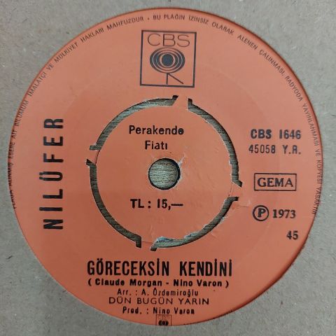 NİLÜFER - ALDANIRIM SANMA 45LİK PLAK