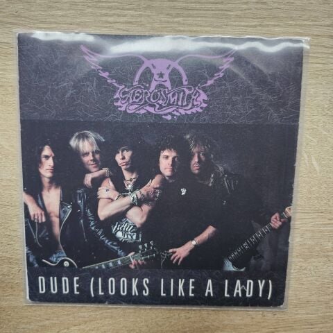 Aerosmith – Dude (Looks Like A Lady) 45LİK PLAK