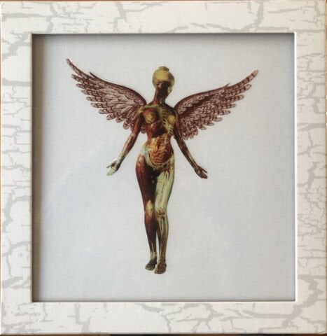Nirvana – In Utero LP PLAK (BOX SET)