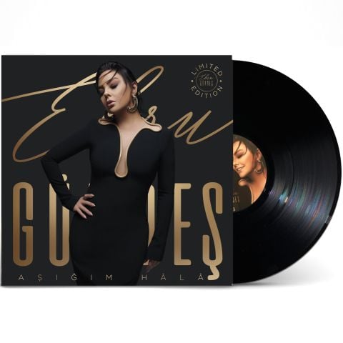 EBRU GÜNDEŞ - AŞIĞIM HALA LP PLAK