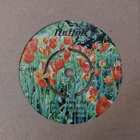 Ayla Dikmen – Yanan Mum / Alyanaklım 45LİK PLAK