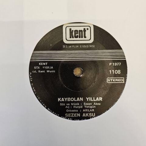 Sezen Aksu – Kaybolan Yıllar / Neye Yarar 45LİK PLAK