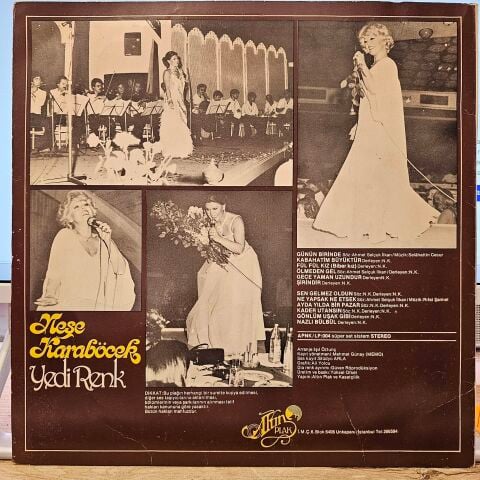 Neşe Karaböcek – Yedi Renk LP PLAK