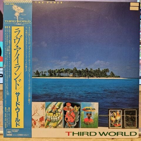 Third World – You've Got The Power LP PLAK
