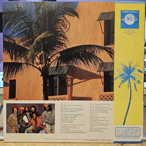 Third World – You've Got The Power LP PLAK