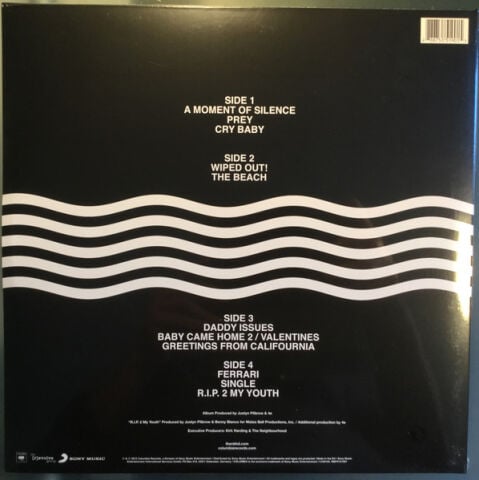 The Neighbourhood – Wiped Out! LP PLAK
