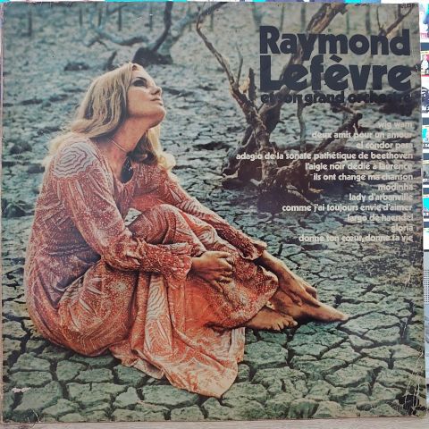 Raymond Lefevre Et Son Grand Orchestre LP PLAK