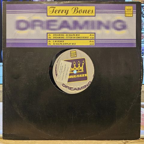 Terry Bones – Dreaming LP PLAK
