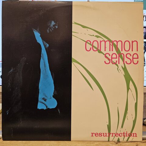 Common Sense – Resurrection LP PLAK