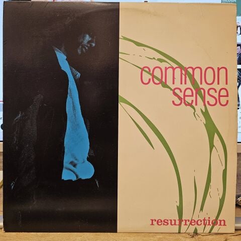 Common Sense – Resurrection LP PLAK