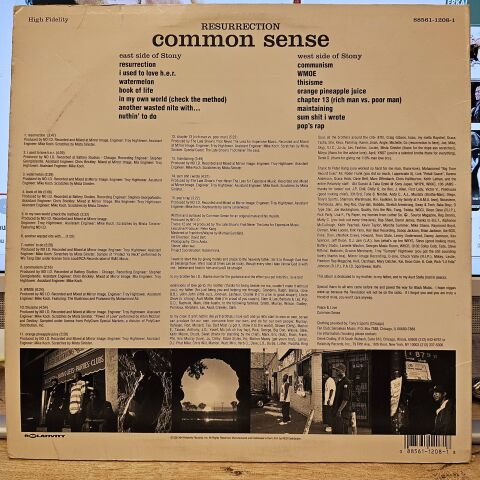 Common Sense – Resurrection LP PLAK