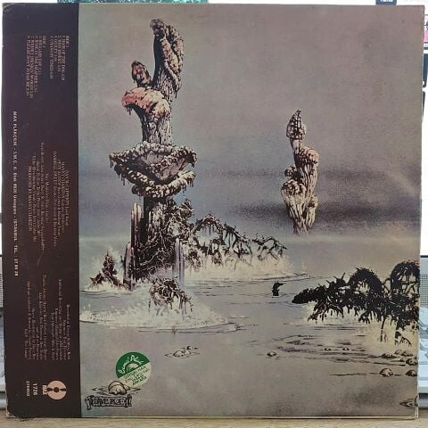 NAZARETH - HAİR OF THE DOG LP PLAK