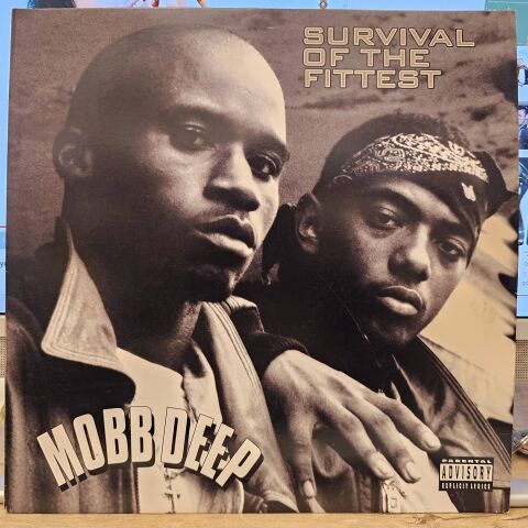 Mobb Deep – Survival Of The Fittest LP PLAK