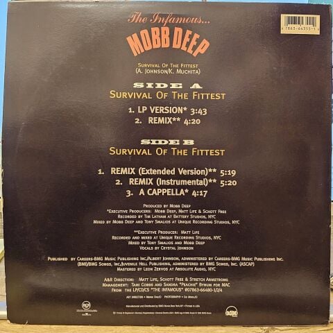 Mobb Deep – Survival Of The Fittest LP PLAK