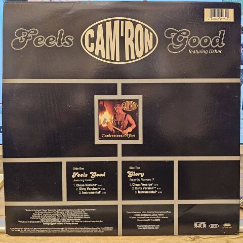 Cam'ron Featuring Usher – Feels Good LP PLAK