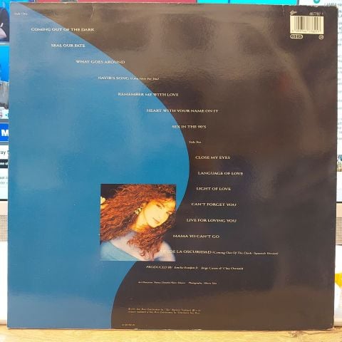 Gloria Estefan – Into The Light LP PLAK