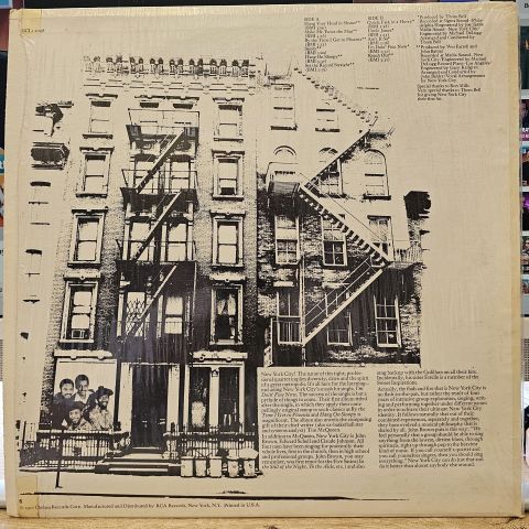 New York City – I'm Doin' Fine Now LP PLAK