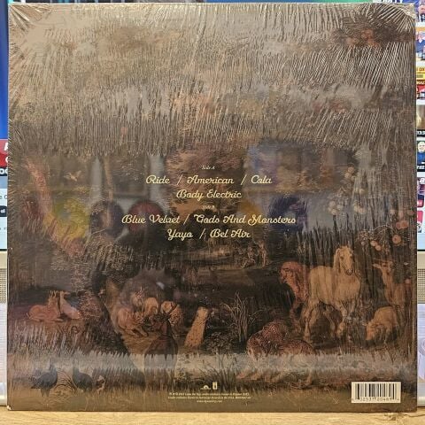 Lana Del Rey – Paradise LP PLAK