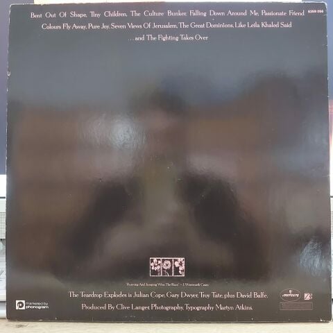THE TEARDROP EXPLODES - WİLDER LP PLAK