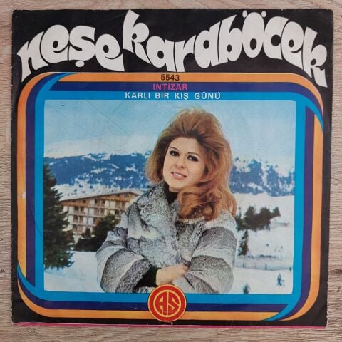 Neşe Karaböcek – İntizar / Karlı Bir Kış Günü 45LİK PLAK