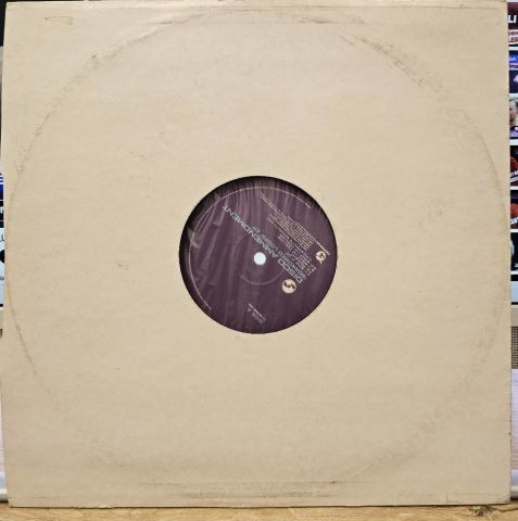 Disco Ammendment – Borrowed Loops' EP LP PLAK