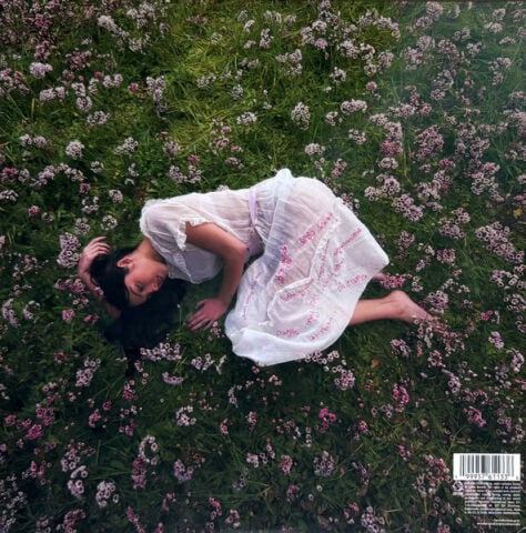 Olivia Rodrigo – You Seem Pretty Sad For A Girl So In Love LP PLAK