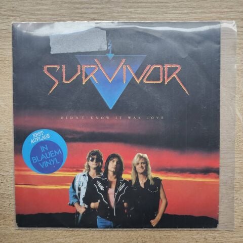 Survivor – Didn't Know It Was Love 45LİK PLAK