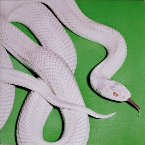 Deftones – Private Music LP PLAK