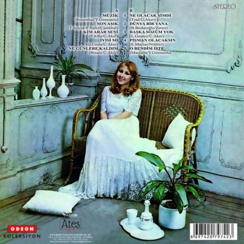 NİLİFER - NİLÜFER MÜZİK LP PLAK