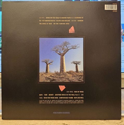 Pink Floyd – Delicate Sound Of Thunder LP PLAK