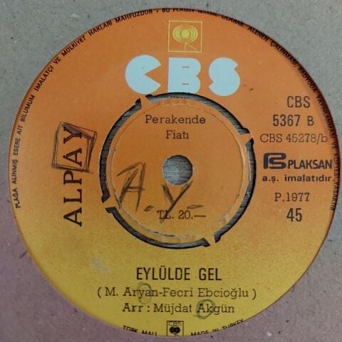 Alpay – Gülen Yüzüme Bakıp Da / Eylülde Gel 45LİK PLAK