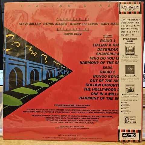 Steve Miller Band – Italian X Rays LP PLAK