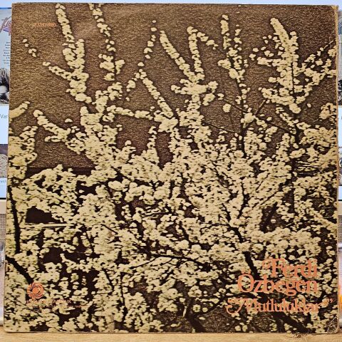 Ferdi Özbeğen – Mutluluklar LP PLAK