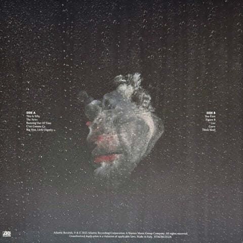 Paramore – This Is Why LP PLAK