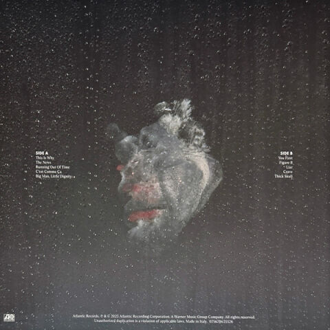 Paramore – This Is Why LP PLAK