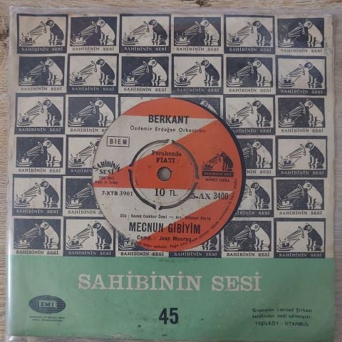 Berkant – Sevdim Seni / Mecnun Gibiyim 45LİK PLAK