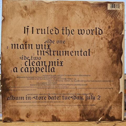 Nas – If I Ruled The World LP PLAK