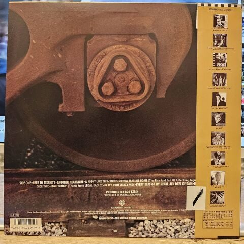 Rod Stewart – Rod Stewart LP PLAK